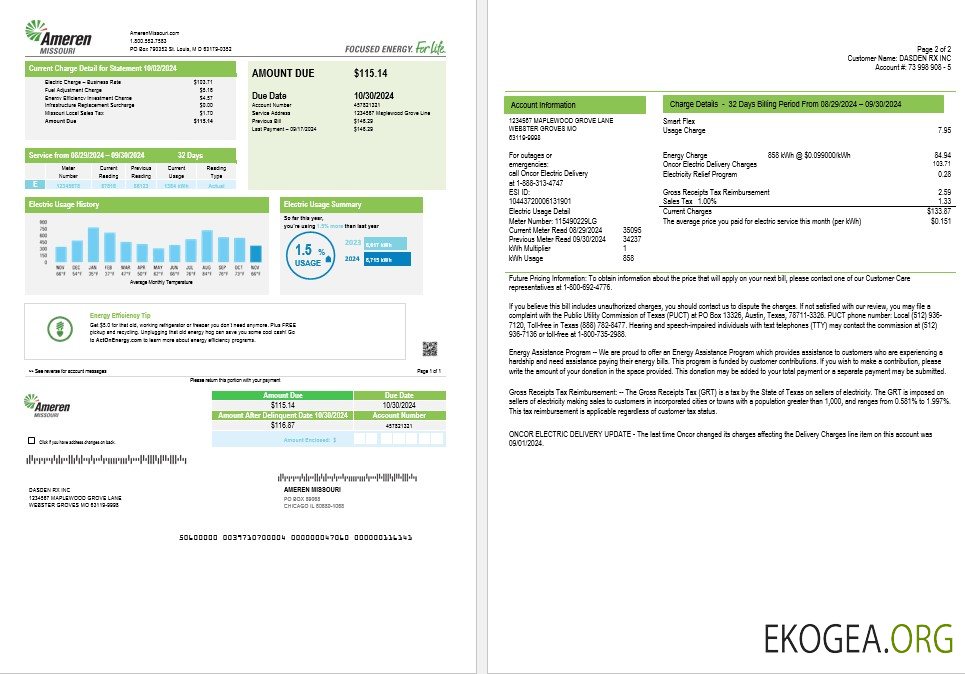 Modèle de facture de services publics d'électricité des États Unis Ameren Missouri aux formats Word et PDF (2 pages)